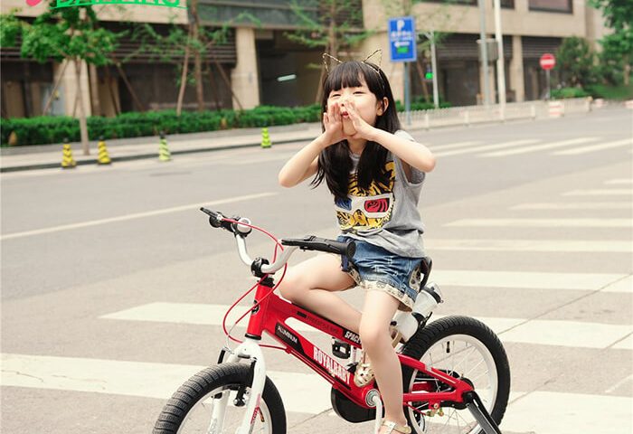 Xe đạp giá rẻ cho bé gái 6 tuổi .1