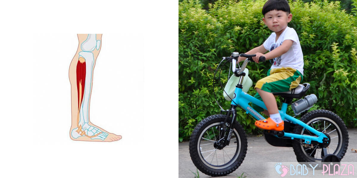 Trẻ em đạp xe đạp thường xuyên có bị to bắp chân không 1